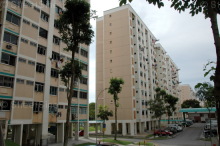 Blk 205 Petir Road (Bukit Panjang), HDB 4 Rooms #213322